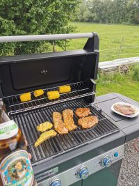 Grillen und chillen – Gasgrill Check